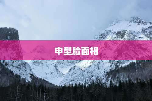申型脸面相