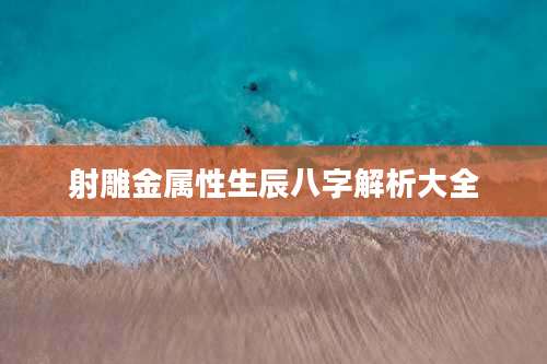 射雕金属性生辰八字解析大全