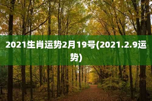 2021生肖运势2月19号(2021.2.9运势)