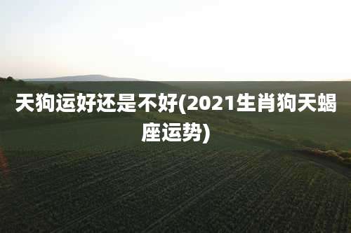 天狗运好还是不好(2021生肖狗天蝎座运势)