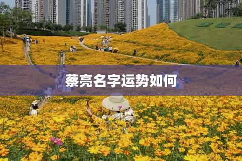 蔡亮名字运势如何