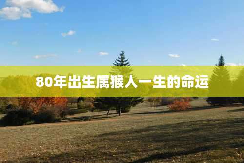 80年出生属猴人一生的命运