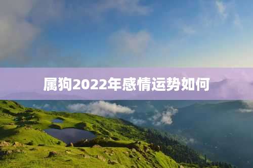 属狗2022年感情运势如何