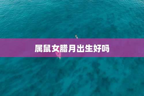 属鼠女腊月出生好吗