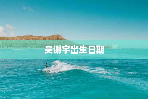 吴谢宇出生日期