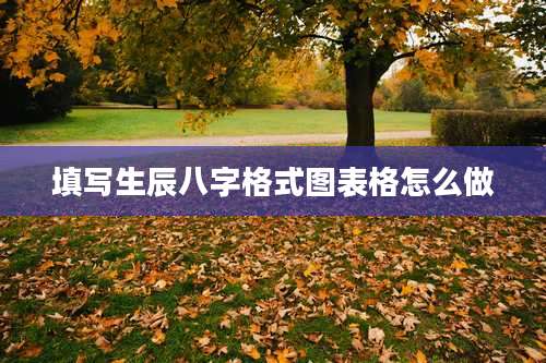 填写生辰八字格式图表格怎么做
