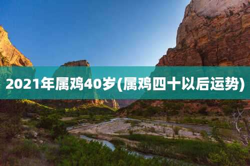 2021年属鸡40岁(属鸡四十以后运势)