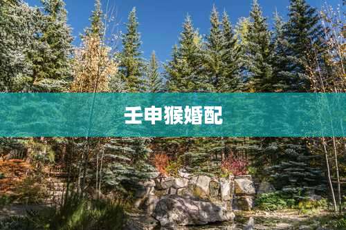 壬申猴婚配