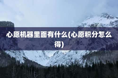 心愿机器里面有什么(心愿积分怎么得)
