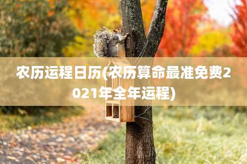 农历运程日历(农历算命最准免费2021年全年运程)