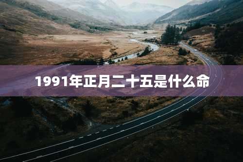 1991年正月二十五是什么命