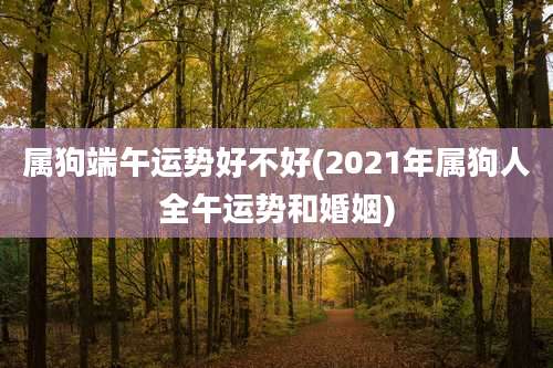 属狗端午运势好不好(2021年属狗人全午运势和婚姻)