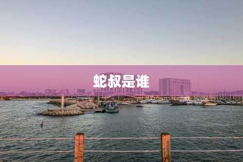 蛇叔是谁