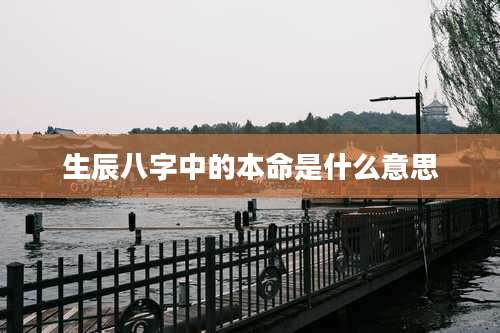 生辰八字中的本命是什么意思
