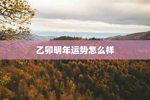 乙卯明年运势怎么样