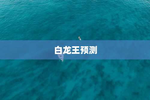 白龙王预测