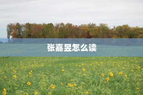张嘉昱怎么读