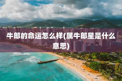 牛郎的命运怎么样(属牛郎星是什么意思)