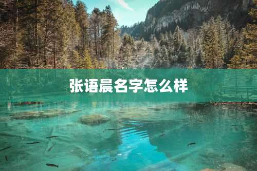 张语晨名字怎么样