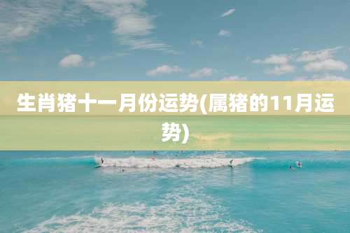 生肖猪十一月份运势(属猪的11月运势)