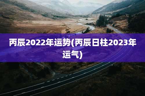 丙辰2022年运势(丙辰日柱2023年运气)