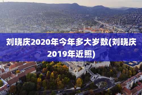 刘晓庆2020年今年多大岁数(刘晓庆2019年近照)
