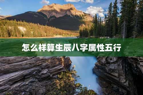 怎么样算生辰八字属性五行