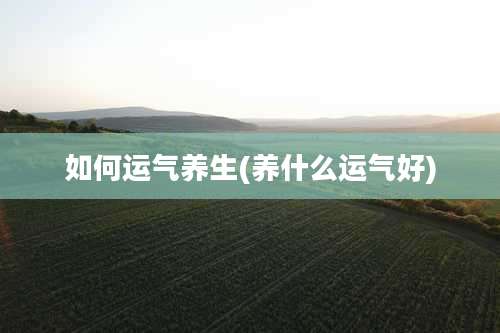 如何运气养生(养什么运气好)