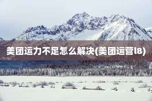 美团运力不足怎么解决(美团运营l8)