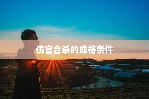 伤官合杀的成格条件