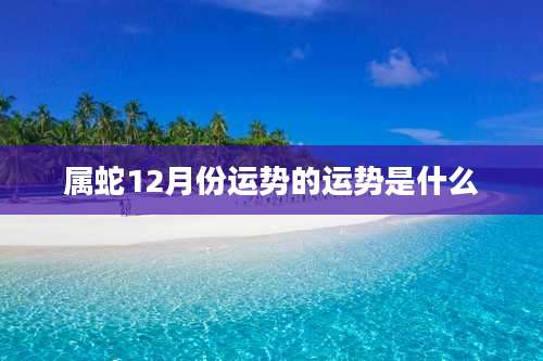 属蛇12月份运势的运势是什么