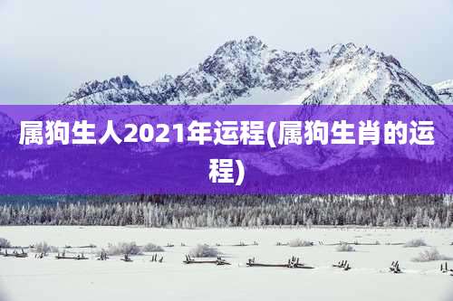 属狗生人2021年运程(属狗生肖的运程)