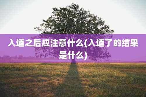 入道之后应注意什么(入道了的结果是什么)