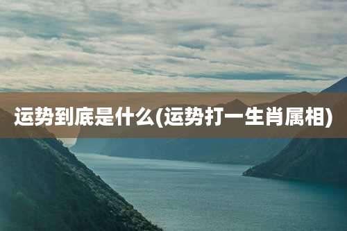运势到底是什么(运势打一生肖属相)