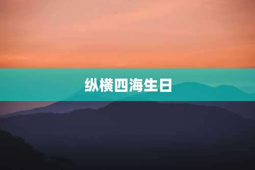 纵横四海生日
