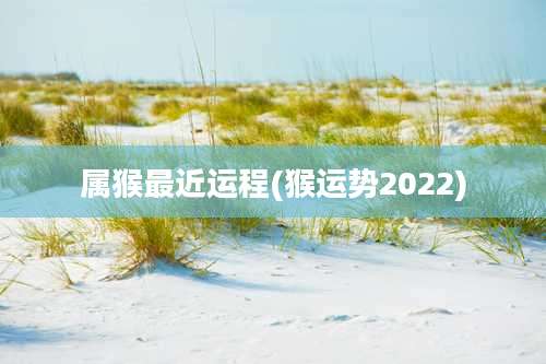 属猴最近运程(猴运势2022)