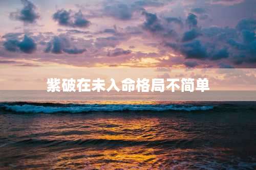 紫破在未入命格局不简单