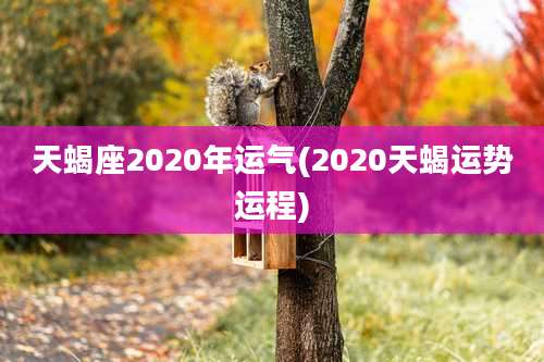 天蝎座2020年运气(2020天蝎运势运程)