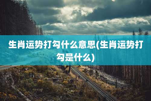 生肖运势打勾什么意思(生肖运势打勾是什么)