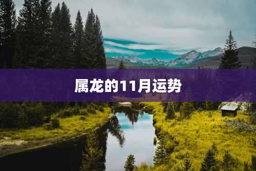 属龙的11月运势