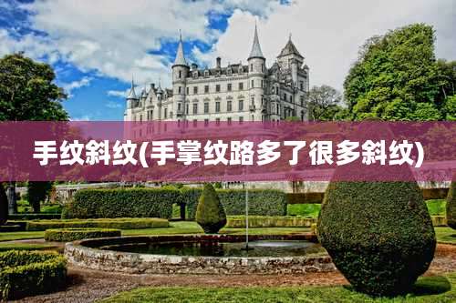 手纹斜纹(手掌纹路多了很多斜纹)