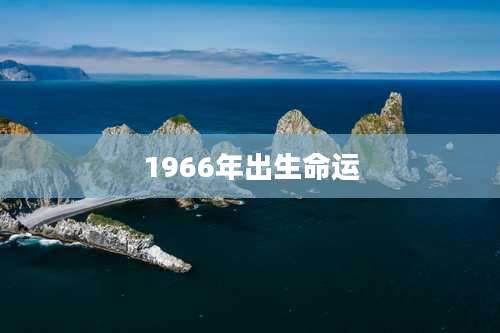 1966年出生命运