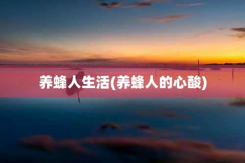 养蜂人生活(养蜂人的心酸)