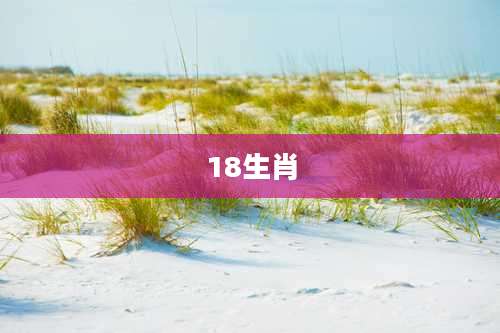 18生肖