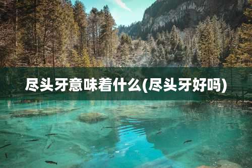 尽头牙意味着什么(尽头牙好吗)