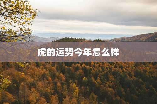 虎的运势今年怎么样