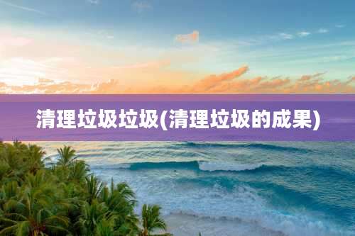 清理垃圾垃圾(清理垃圾的成果)