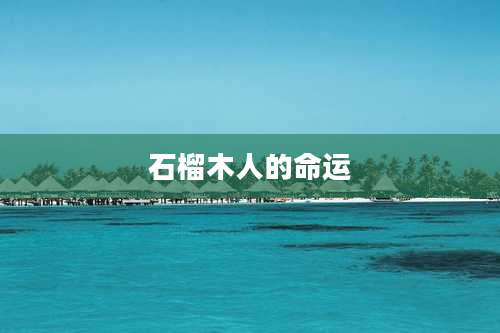 石榴木人的命运