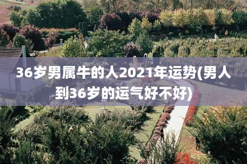 36岁男属牛的人2021年运势(男人到36岁的运气好不好)