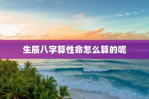生辰八字算性命怎么算的呢